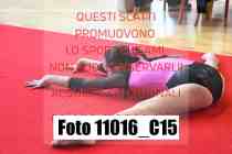 11016_C15
