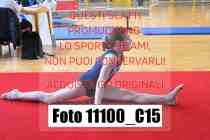 11100_C15