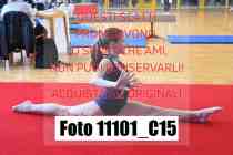 11101_C15