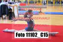 11102_C15