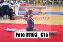 11103_C15