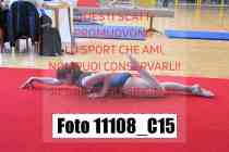 11108_C15