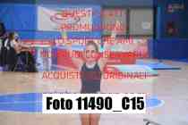 11490_C15