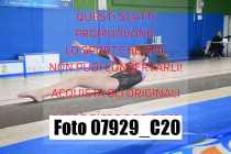 07929_C20