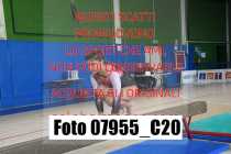 07955_C20