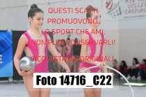14716_C22