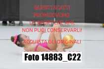 14883_C22
