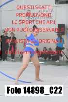 14898_C22