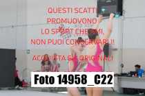 14958_C22