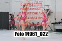 14961_C22