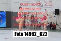 14962_C22