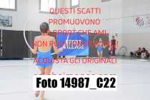 14987_C22