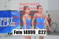 14999_C22