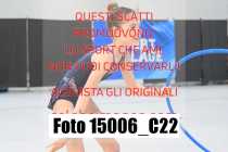 15006_C22