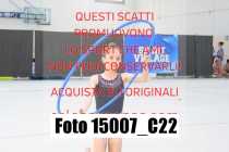 15007_C22