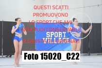 15020_C22