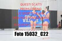 15032_C22