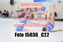15036_C22