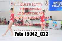 15042_C22