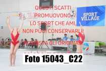15043_C22