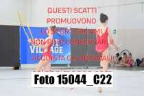15044_C22
