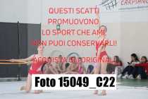 15049_C22