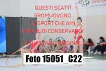 15051_C22