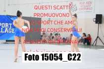 15054_C22