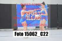 15062_C22