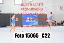 15065_C22