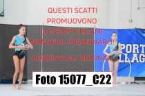 15077_C22