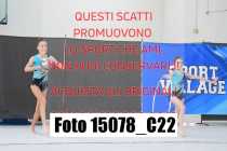 15078_C22