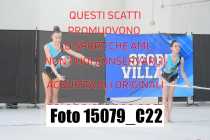 15079_C22