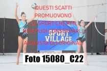15080_C22