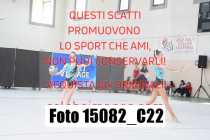 15082_C22