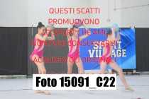 15091_C22