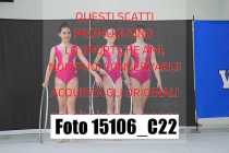 15106_C22