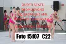 15107_C22