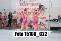 15108_C22