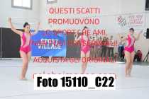 15110_C22