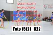15121_C22