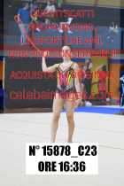 15878_C23