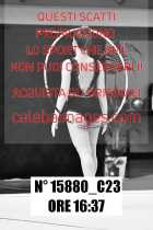 15880_C23