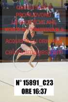 15891_C23