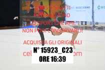 15923_C23