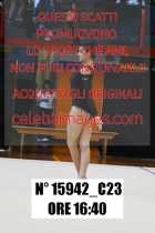 15942_C23