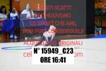 15949_C23
