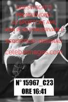 15967_C23