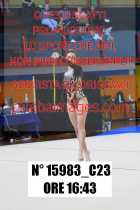 15983_C23