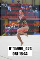 15999_C23